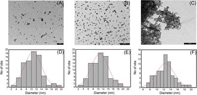 Magnetic Nanoconjugated Teicoplanin: A Novel Tool for Bacterial Infection Site Targeting